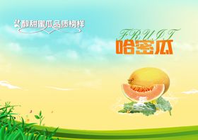 哈密瓜画册