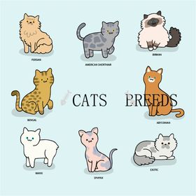卡通猫狸花小彩绘短毛手绘宠物