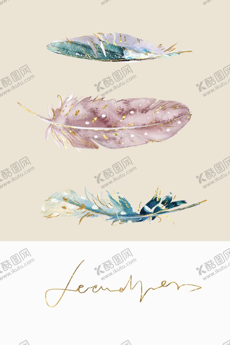 编号：36635905090002198045【酷图网】源文件下载-羽毛装饰画