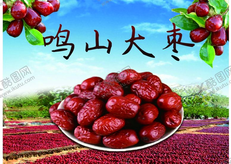 编号：43487501181730374188【酷图网】源文件下载-鸣山大枣