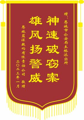 锦旗模板 感恩 民警破案锦旗