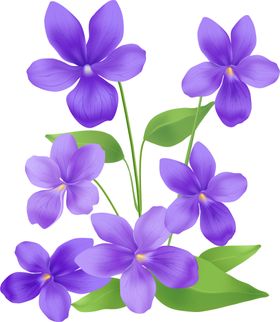 写实花卉彩色插图漂亮