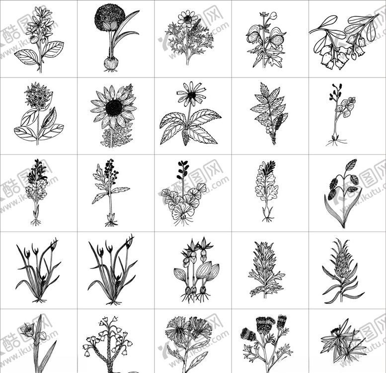 编号：31161410111454006272【酷图网】源文件下载-花朵