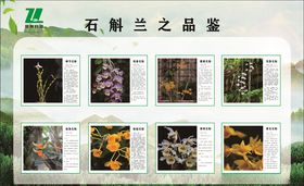 圈层活动之寿司品鉴
