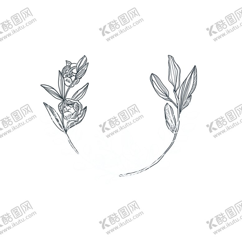 编号：92417209282212211221【酷图网】源文件下载-叶子素材