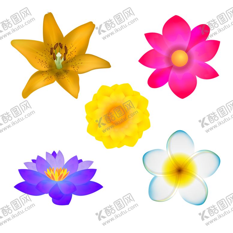 编号：87082509171812427641【酷图网】源文件下载-鲜花素材