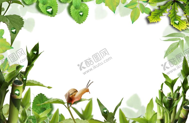 编号：76030909202300227687【酷图网】源文件下载-绿色背景