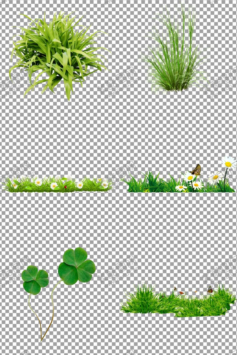 编号：66755709151130449226【酷图网】源文件下载-小草野草