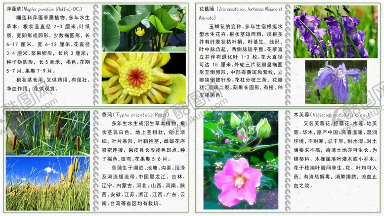 编号：80995606280112342792【酷图网】源文件下载-湿地公园