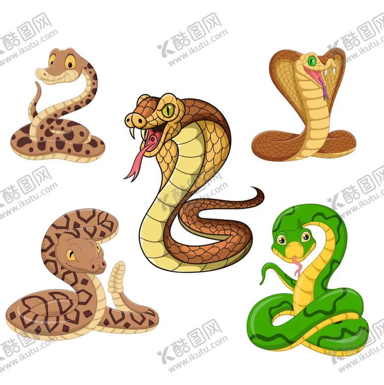 编号：71398610211456565330【酷图网】源文件下载-蛇插画