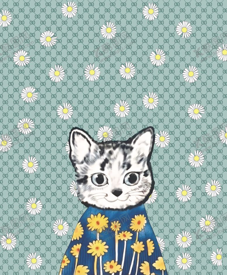 编号：28950709300116547365【酷图网】源文件下载-菊花猫