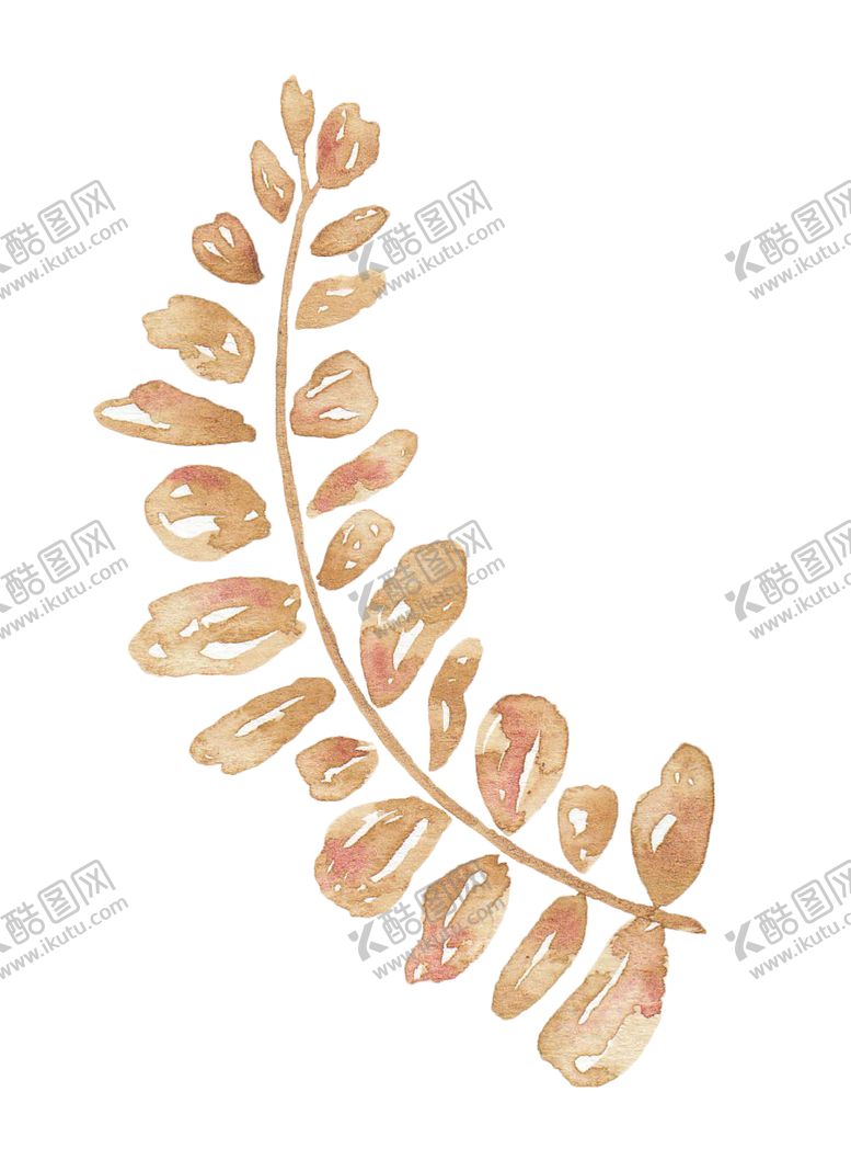 编号：37369605100016041642【酷图网】源文件下载-水彩手绘花卉花朵植物