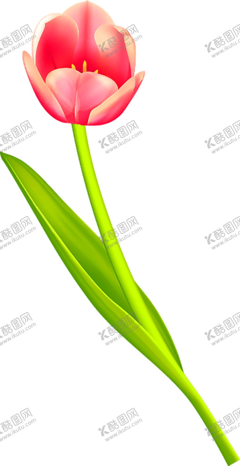 编号：92981905141640082730【酷图网】源文件下载-鲜花装饰
