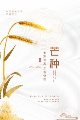 中国传统24节气芒种海报