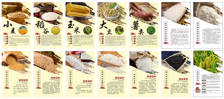 编号：47084912211034481626【酷图网】源文件下载-粮食