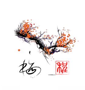 梅花素材 