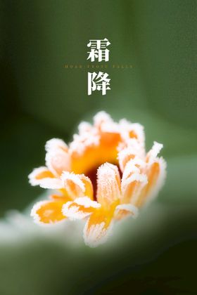 霜降素材海报节气