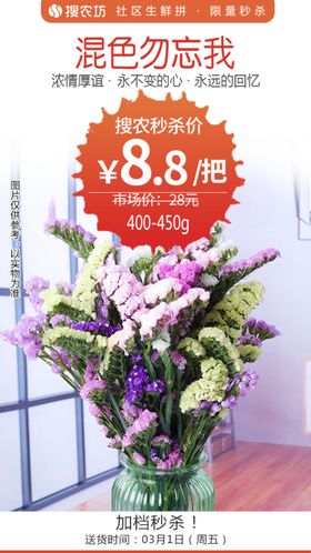 混色勿忘我1束秒杀
