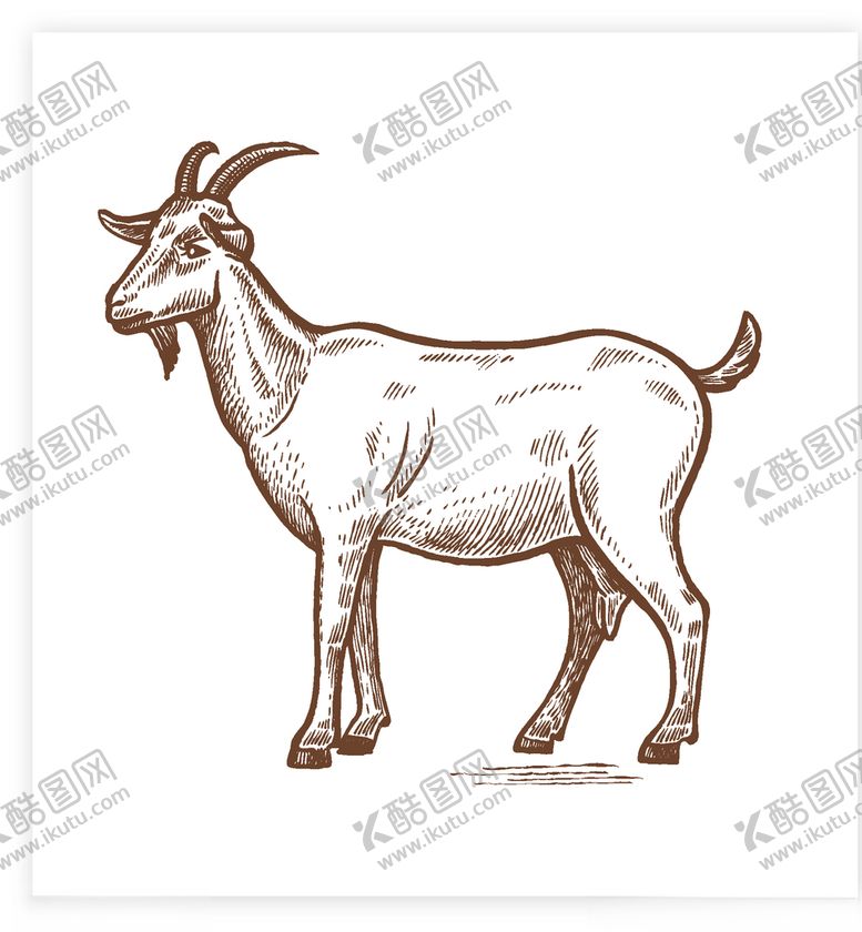 编号：50942810041810493775【酷图网】源文件下载-矢量卡通动物元素