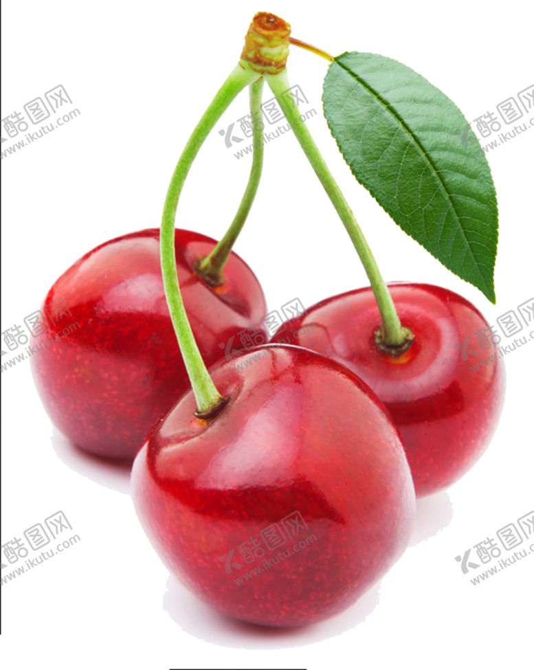 编号：47884610041323106619【酷图网】源文件下载-水果