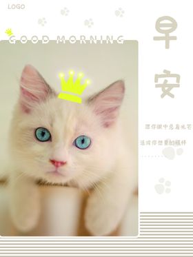 早安正能量晚正能量海报