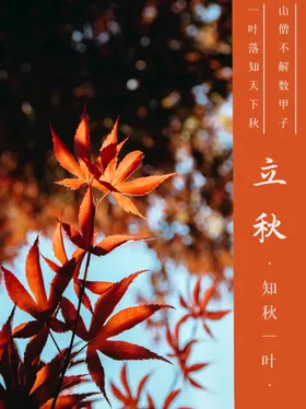 立秋房地产图片单页