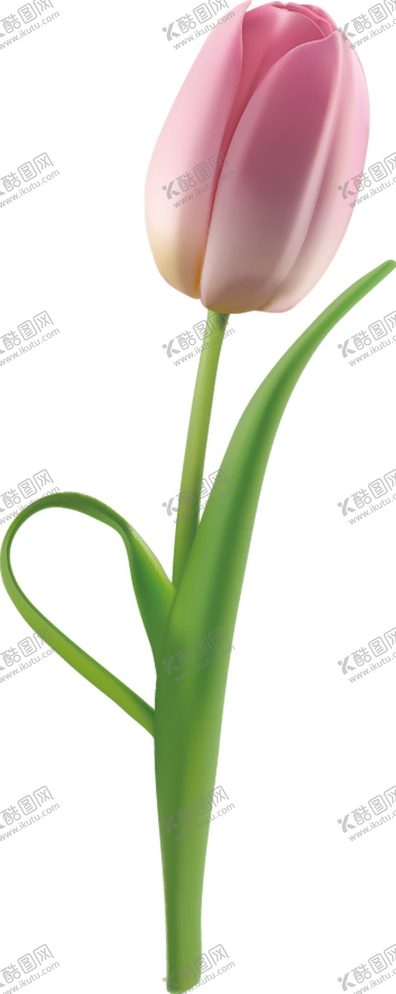 编号：63388007022246058489【酷图网】源文件下载-鲜花素材