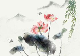 夏日国画水墨水彩荷花蜻蜓