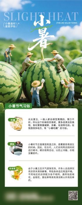 小暑节气海报微距卡通二十四