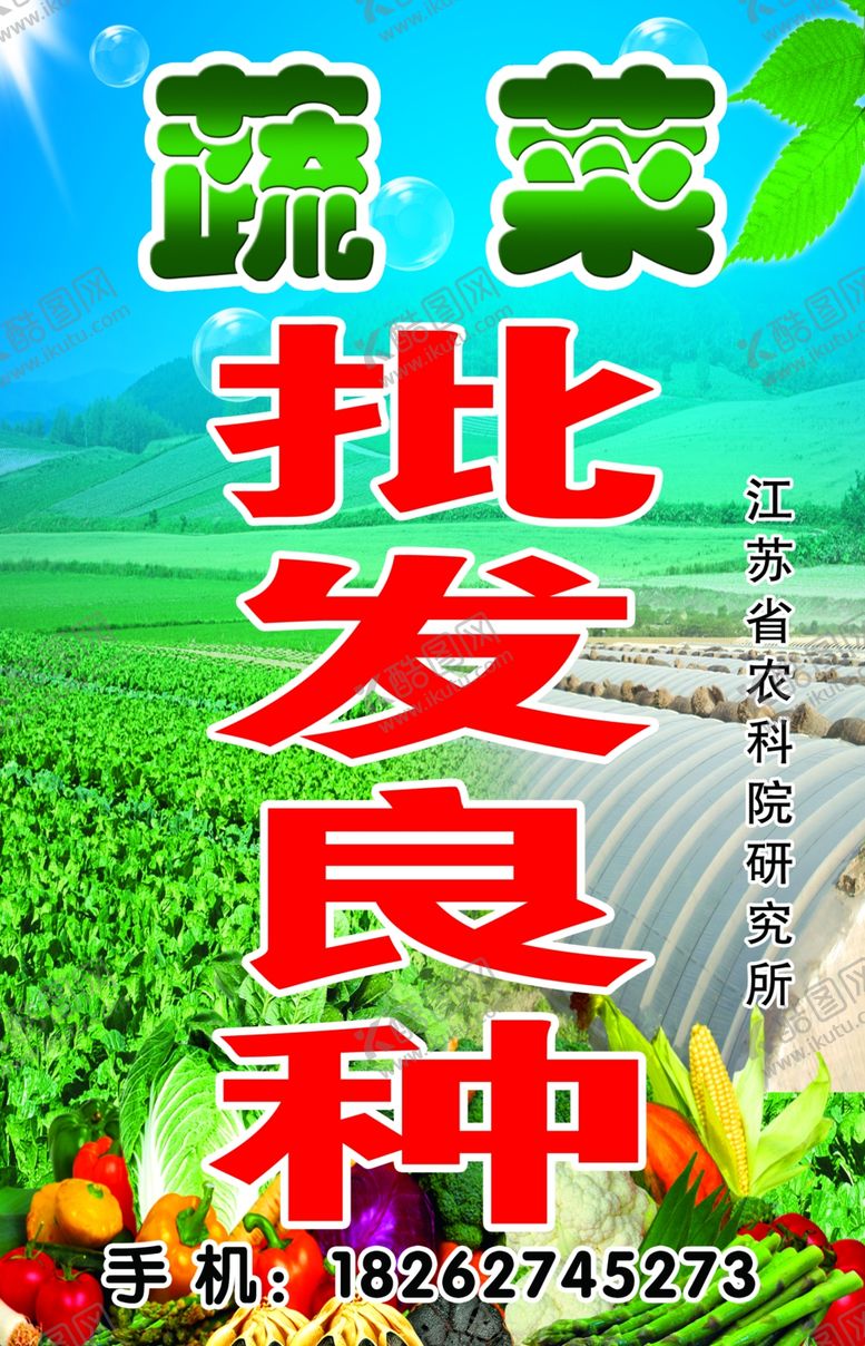 编号：51421009200859471769【酷图网】源文件下载-蔬菜批发良种