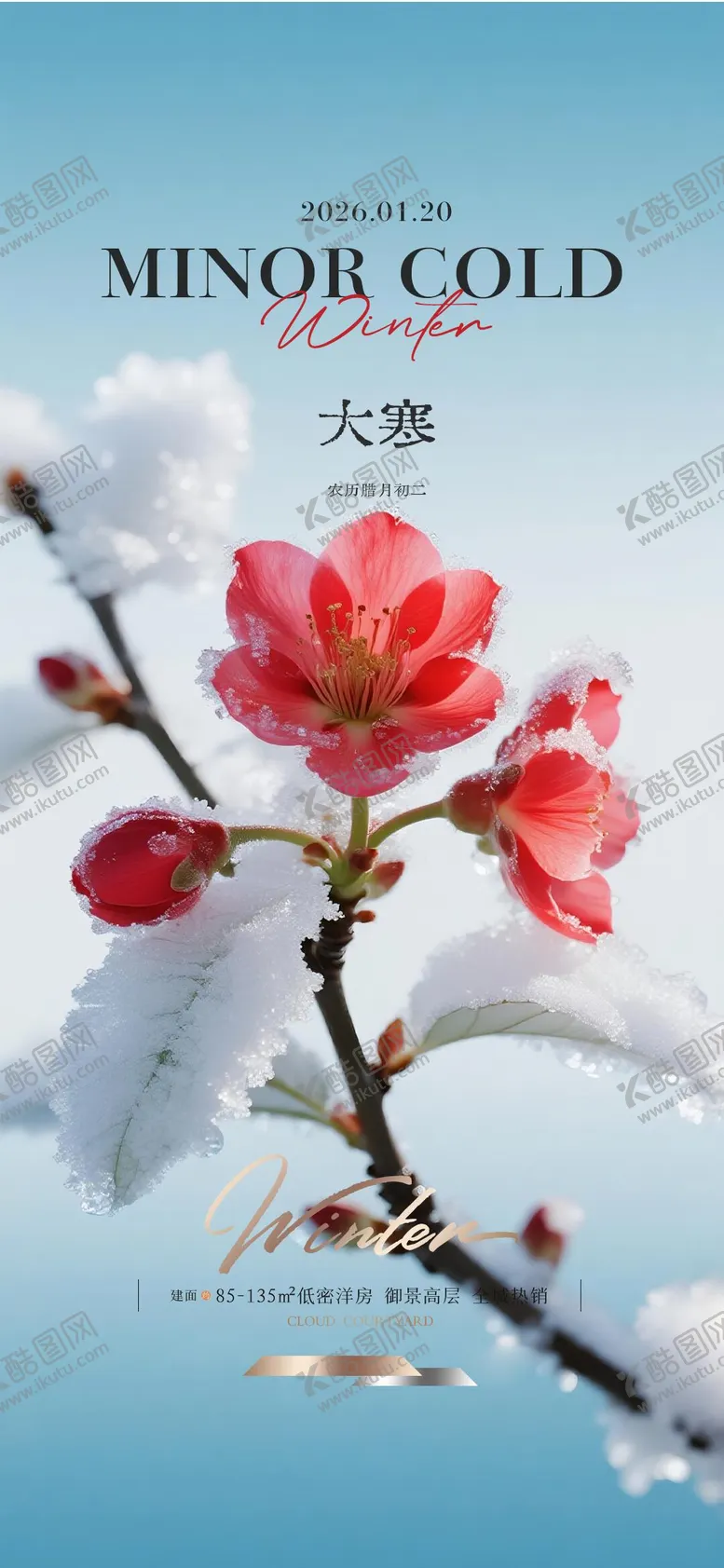 编号：53130801080204437541【酷图网】源文件下载-大寒质感节气海报