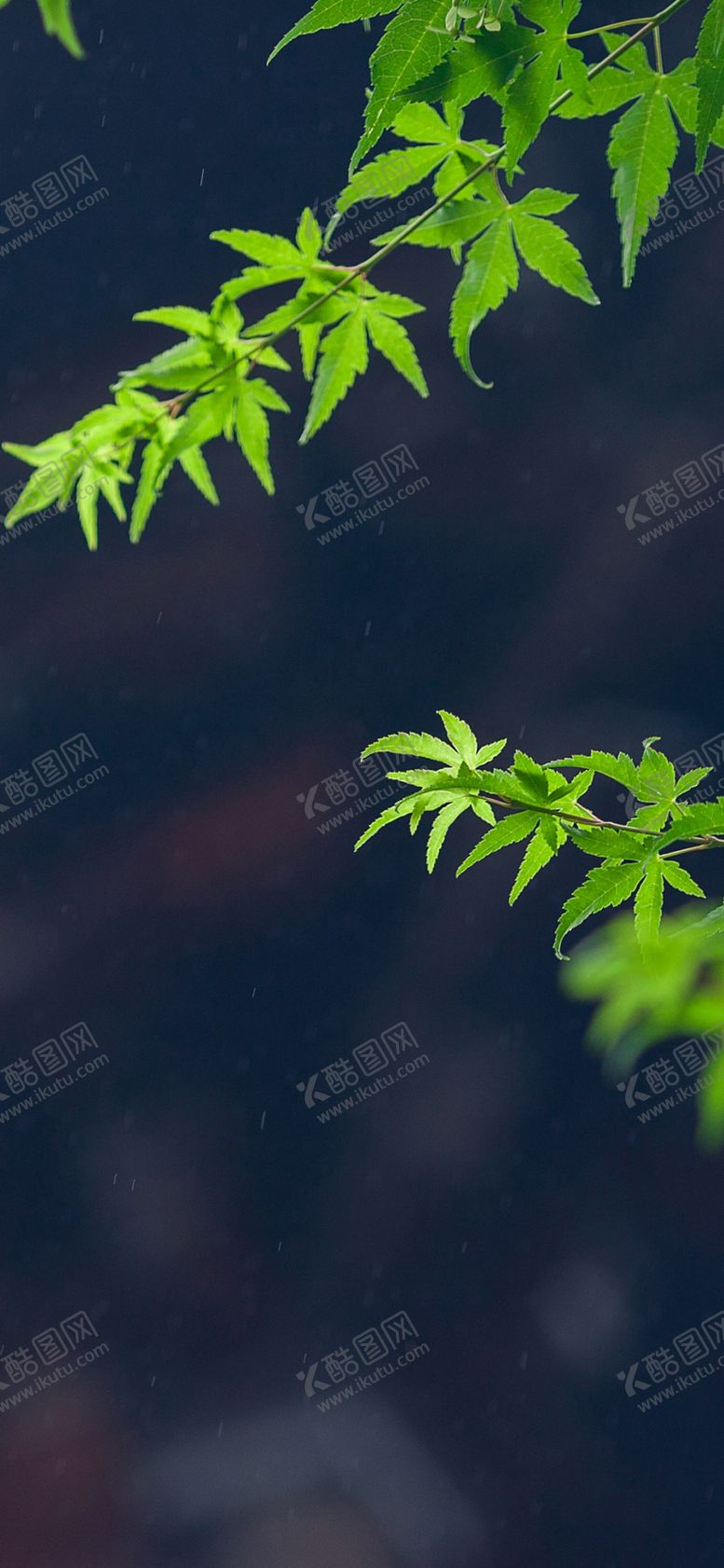 编号：25187905152221051661【酷图网】源文件下载-手机壁纸