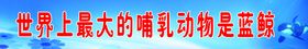 学校小知识