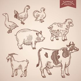 手绘线描动物