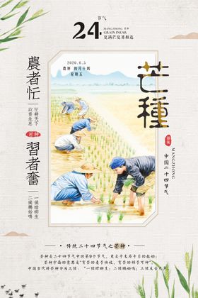 大气芒种海报