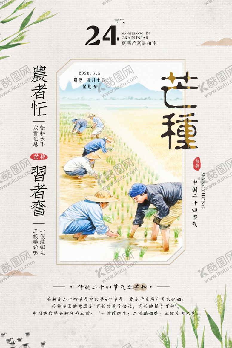 编号：80058606190636202894【酷图网】源文件下载-大气芒种海报