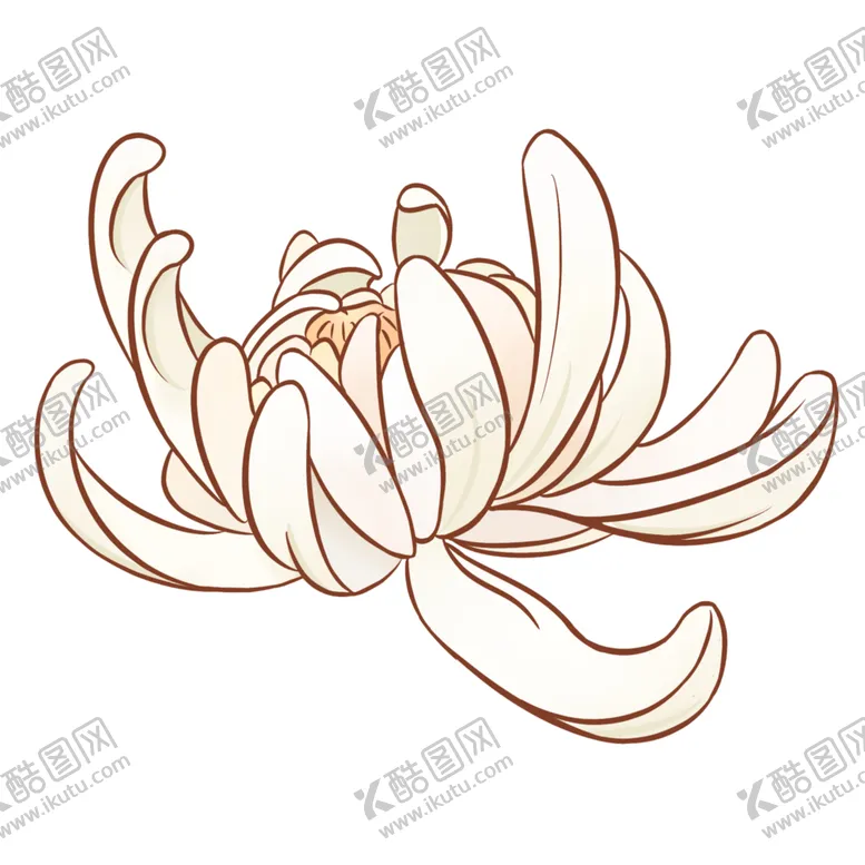 编号：73264606282238079701【酷图网】源文件下载-菊花