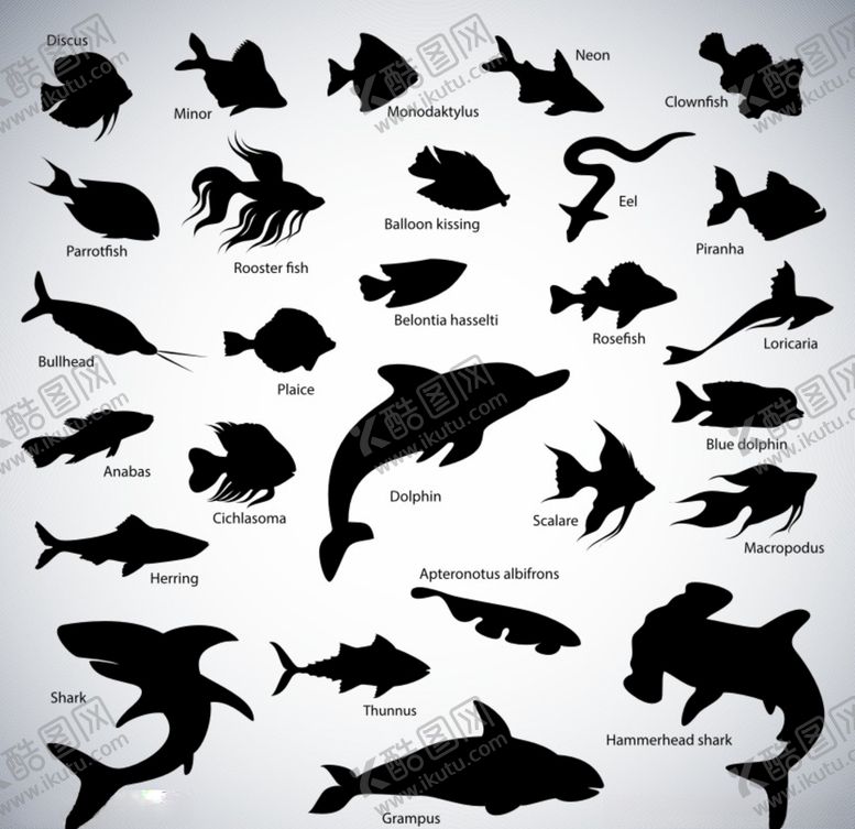 编号：12295910311743557596【酷图网】源文件下载-海鱼鱼类