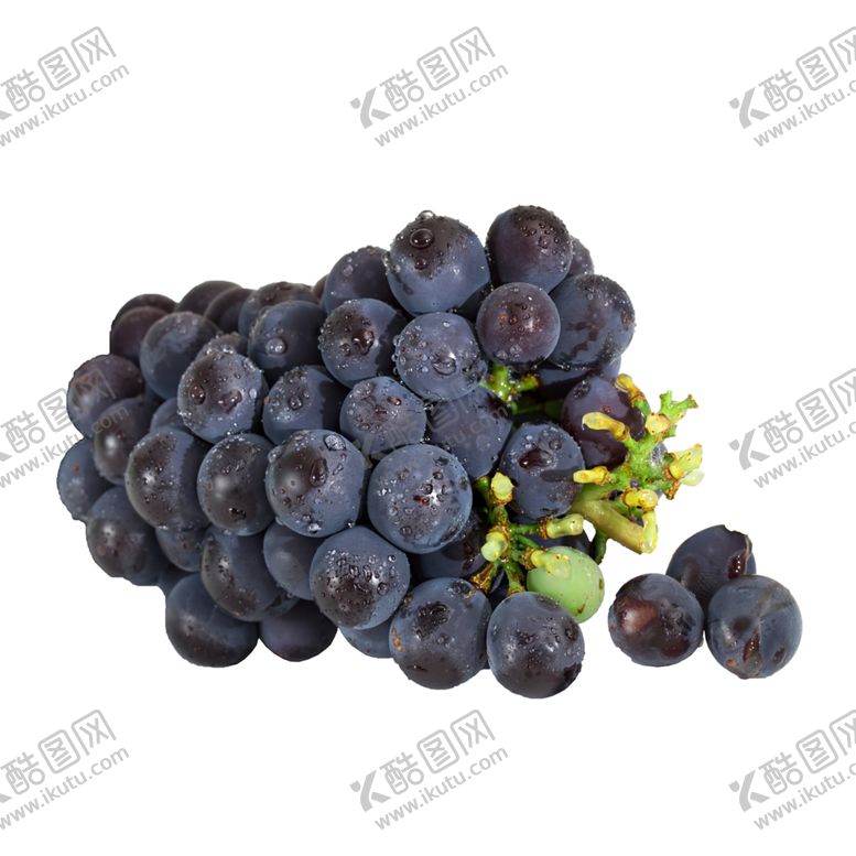 编号：20463603250417231111【酷图网】源文件下载-葡萄