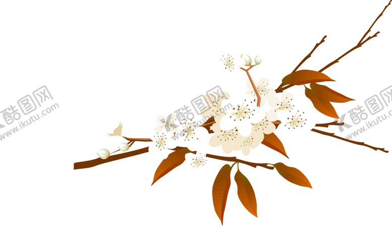 编号：76230707042059446293【酷图网】源文件下载-鲜花素材