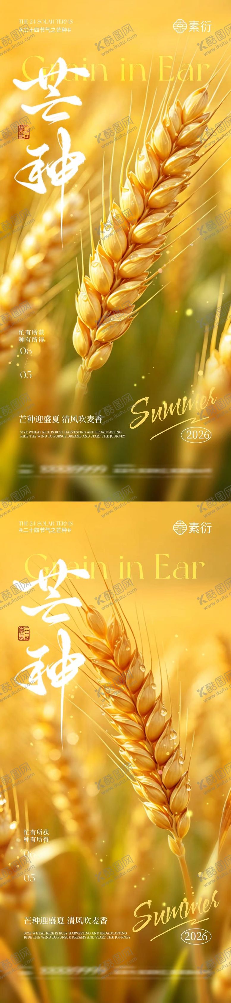 编号：86823705250024552612【酷图网】源文件下载-芒种节气简约摄影海报