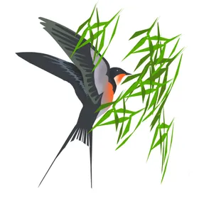 立春燕子插画