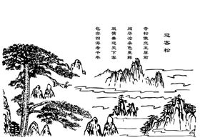 迎客松仙鹤背景画