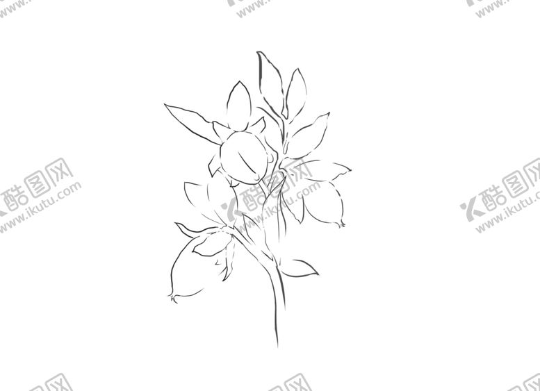 编号：23644409271108194032【酷图网】源文件下载-有机荷荷巴油