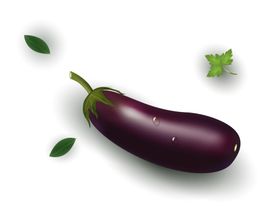茄子素材