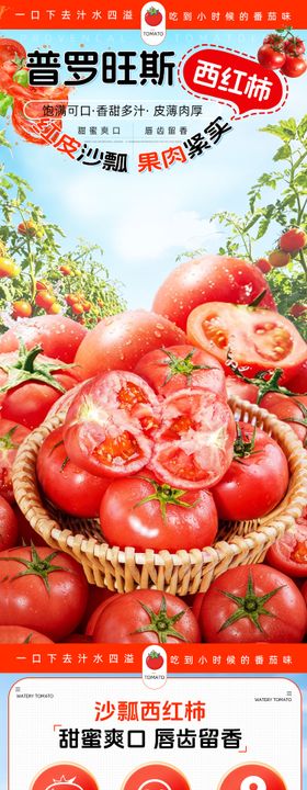 普鲁旺斯西红柿