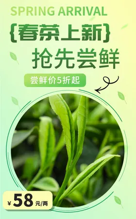春茶上市清明叶道画册