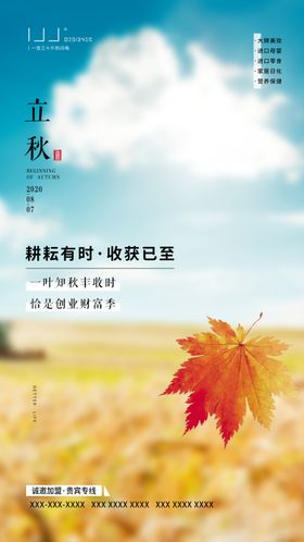 立秋海报