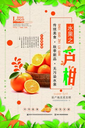 新鲜水果芦柑海报