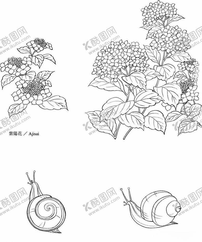 编号：27441909090317445137【酷图网】源文件下载-日本线描植物花卉矢量素材